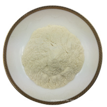 High Quality Compound Solid Drink for Health Probiotic Powder